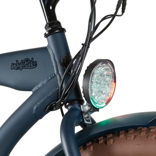 ultra_fat_beach_cruiser - blue7