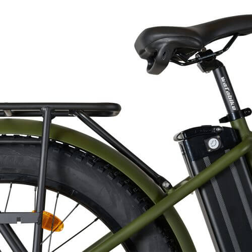 ultra_fat_beach_cruiser - green2