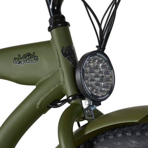 ultra_fat_beach_cruiser - green6