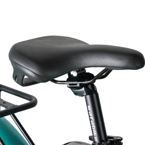 ultra_fat_beach_cruiser_lady - green5